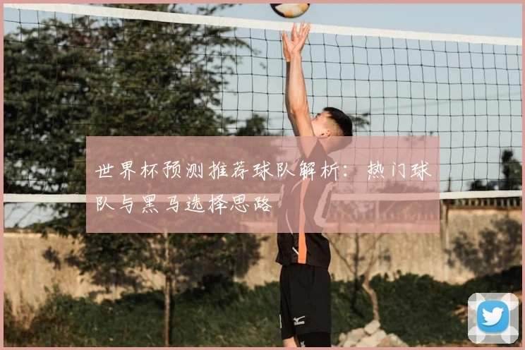 世界杯预测推荐球队解析：热门球队与黑马选择思路