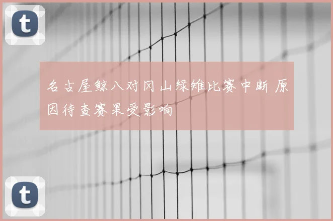 名古屋鲸八对冈山绿雉比赛中断 原因待查赛果受影响