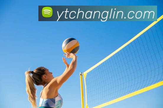 开云手机入口官方网站APP 高清赛事图